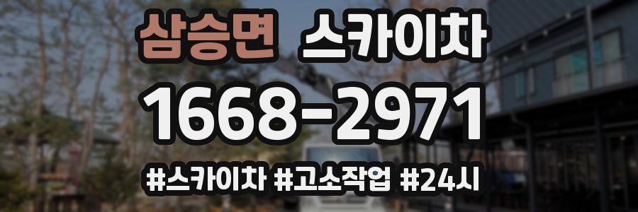 삼승면 스카이차