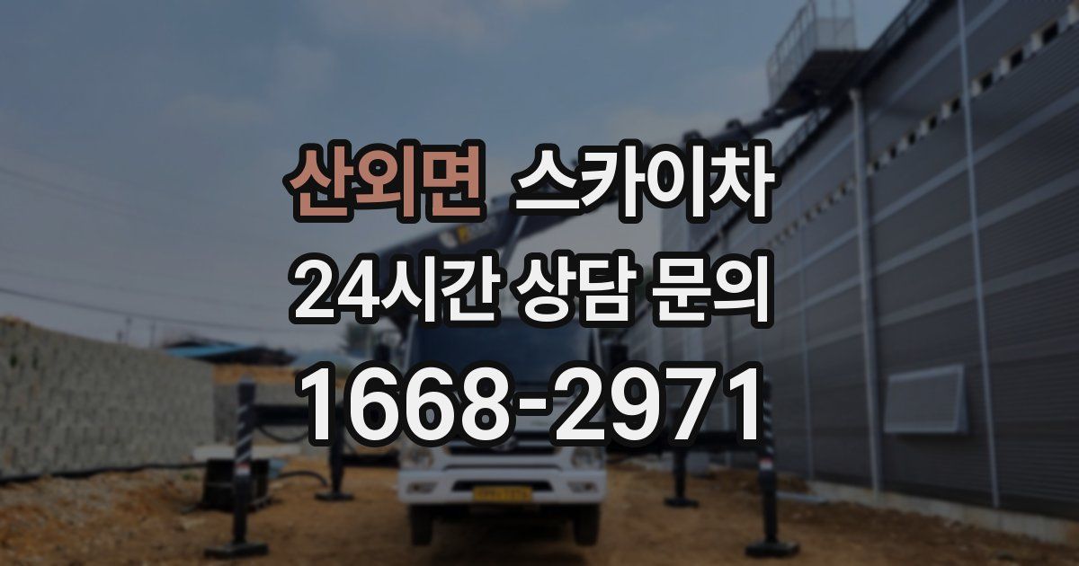 산외면 스카이차
