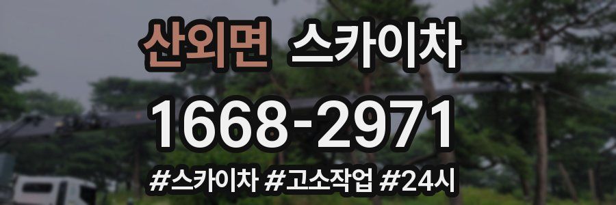 산외면 스카이차
