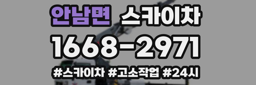 안남면 스카이차