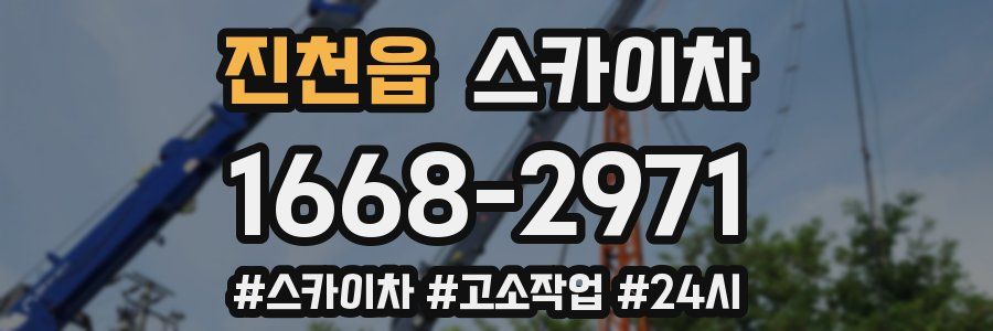 진천읍 스카이차
