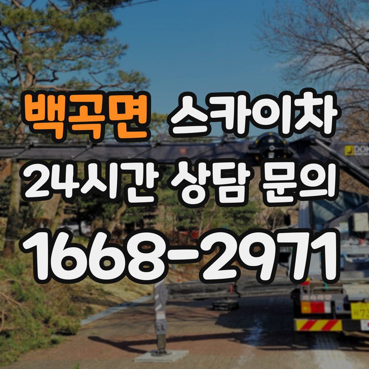 백곡면 스카이차