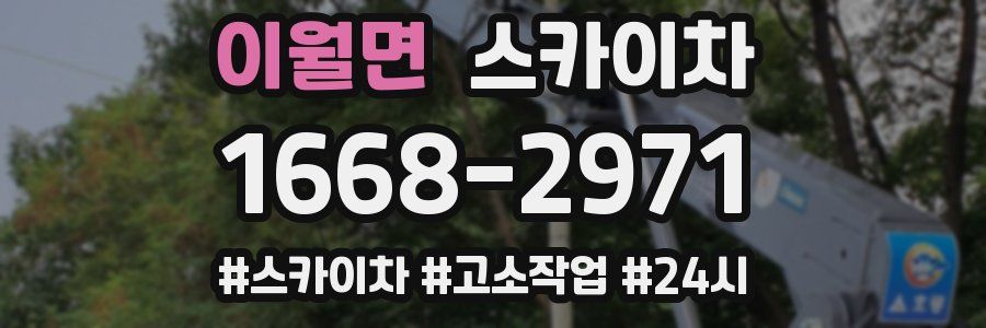 이월면 스카이차