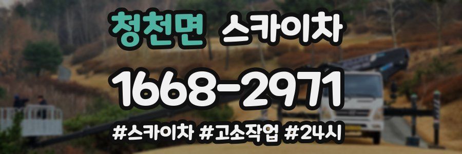 청천면 스카이차