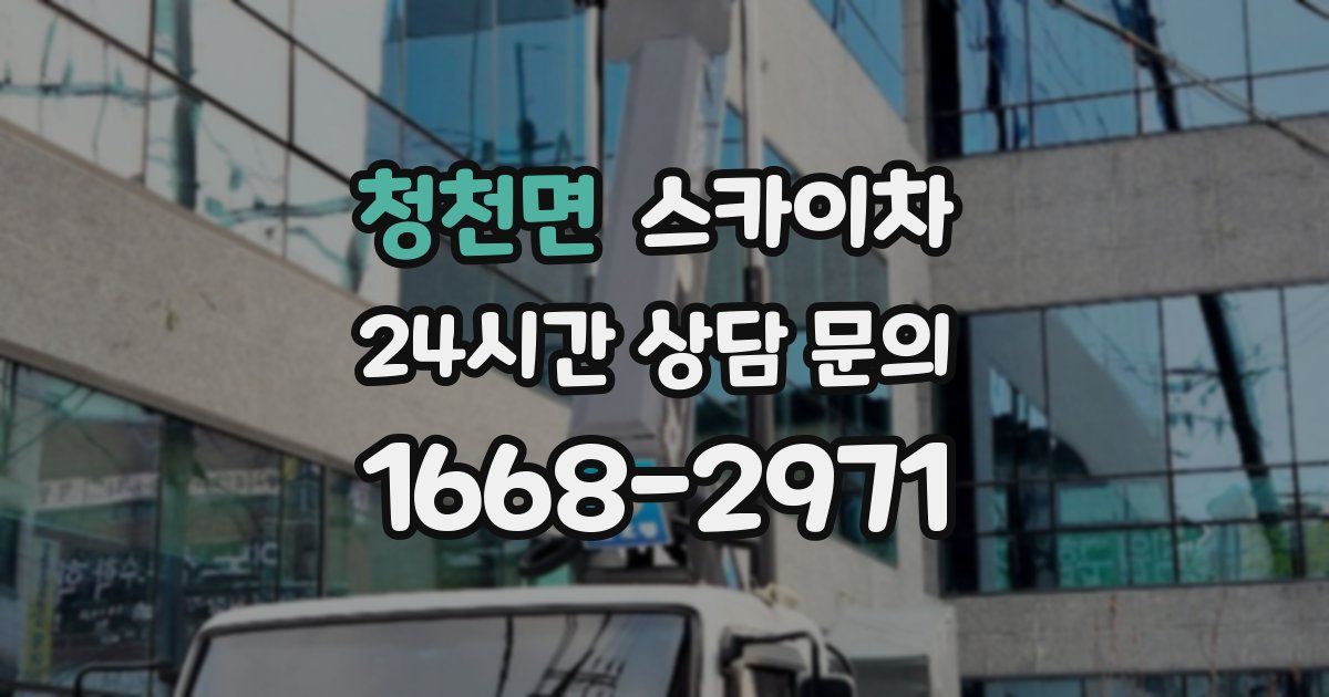 청천면 스카이차