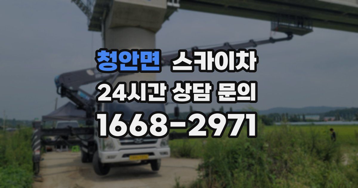 청안면 스카이차