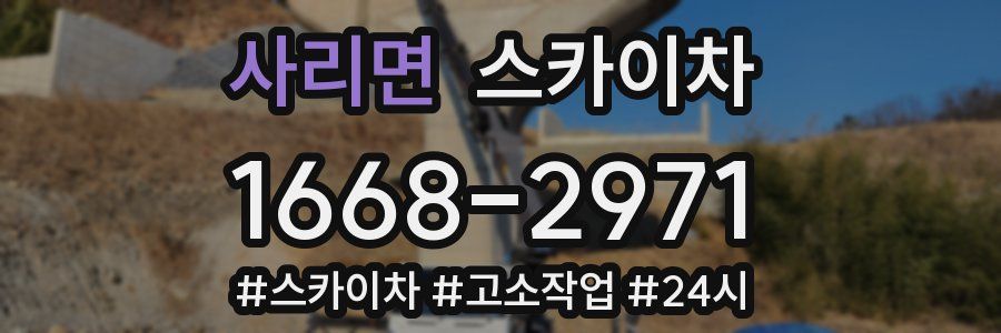 사리면 스카이차