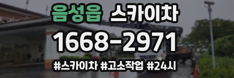 음성읍 스카이차