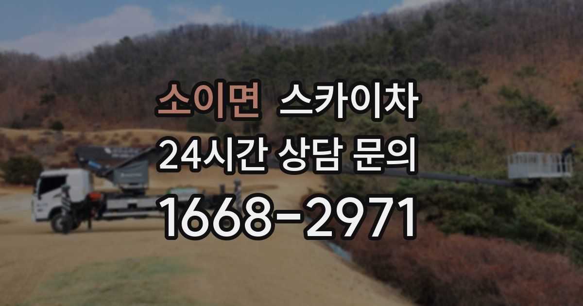 소이면 스카이차