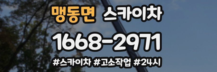 맹동면 스카이차