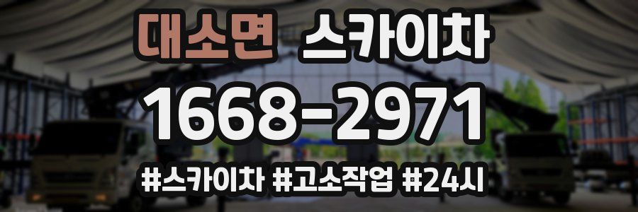 대소면 스카이차