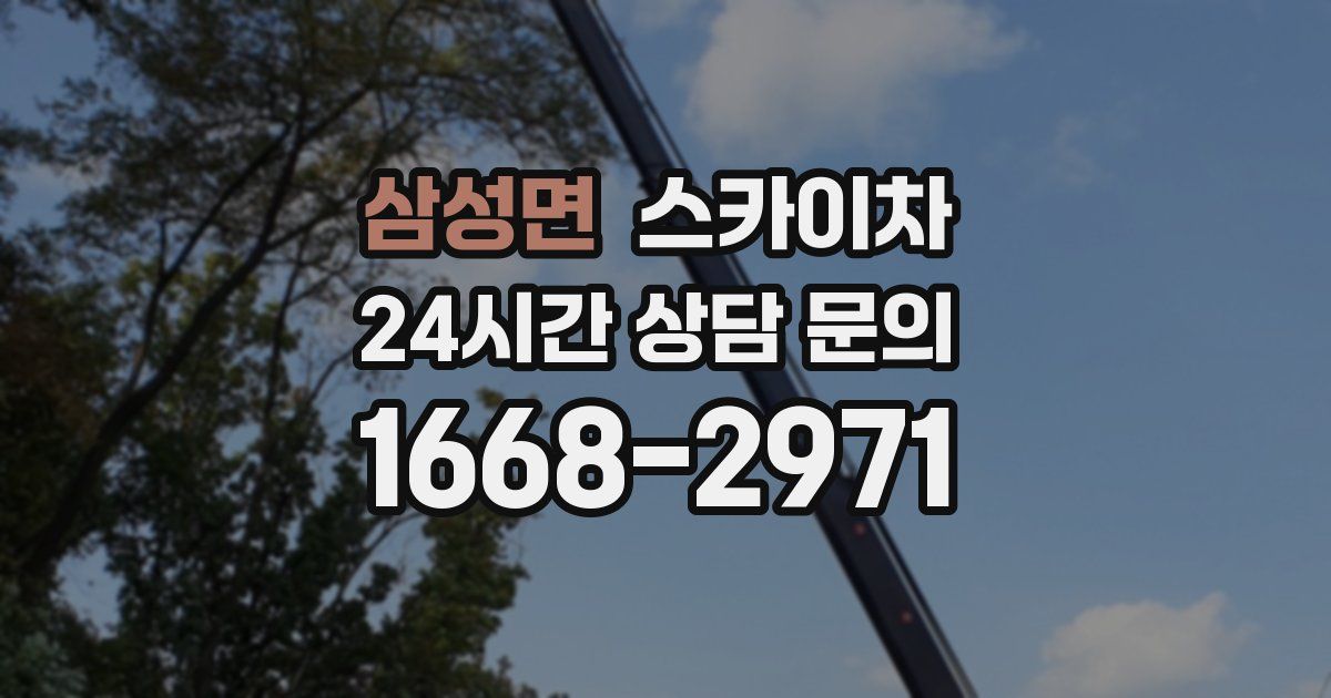 삼성면 스카이차