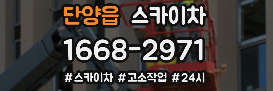 단양읍 스카이차