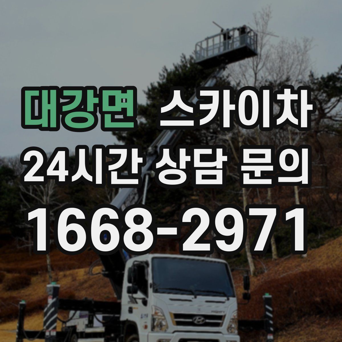 대강면 스카이차