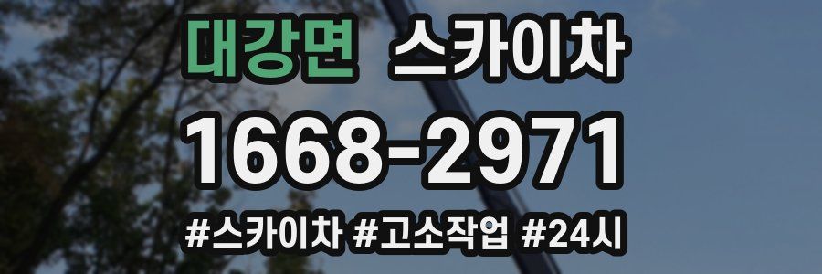 대강면 스카이차