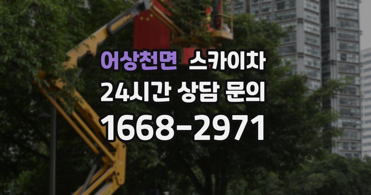 어상천면 스카이차