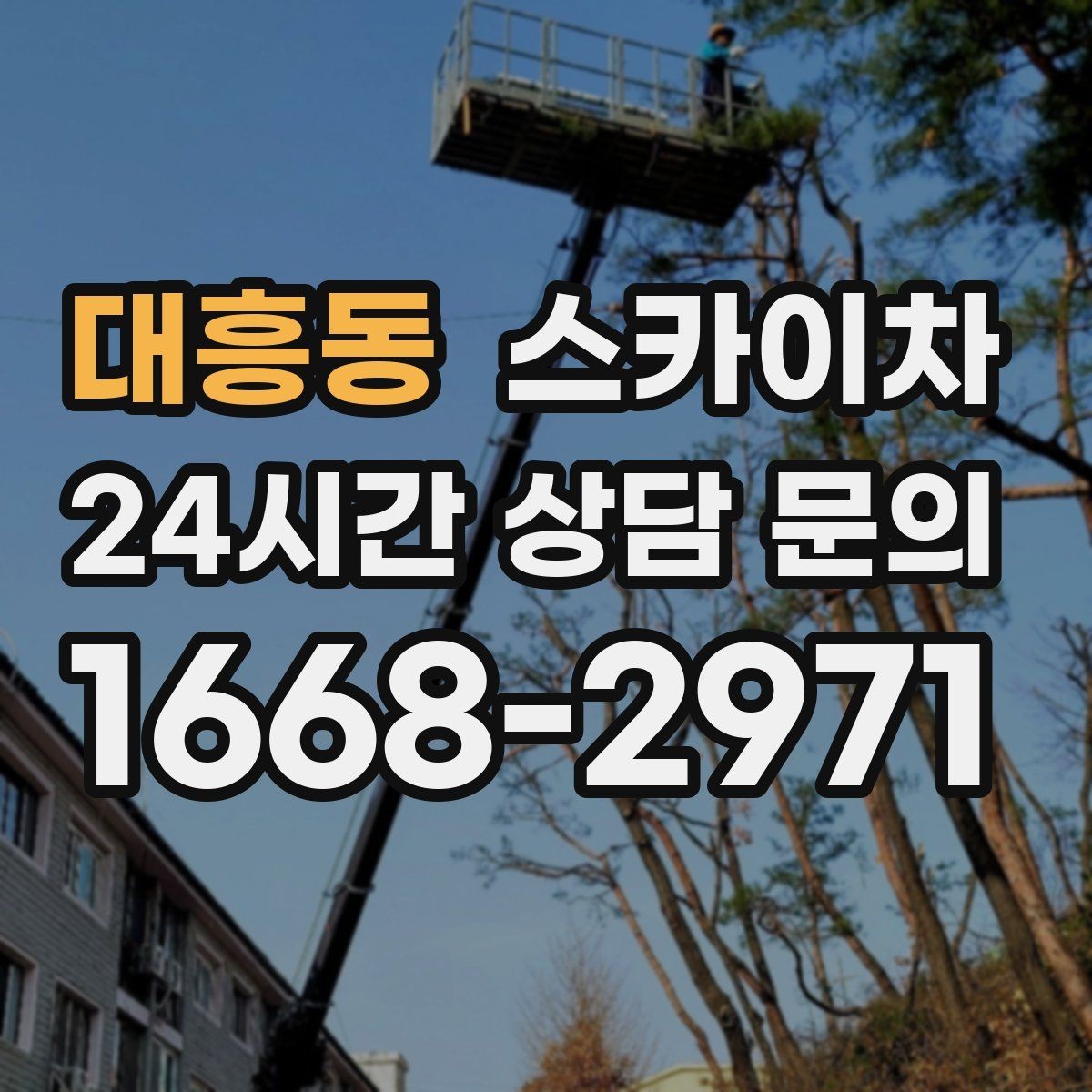 대흥동 스카이차 당일 긴급 작업 요청 시 준비할 정보