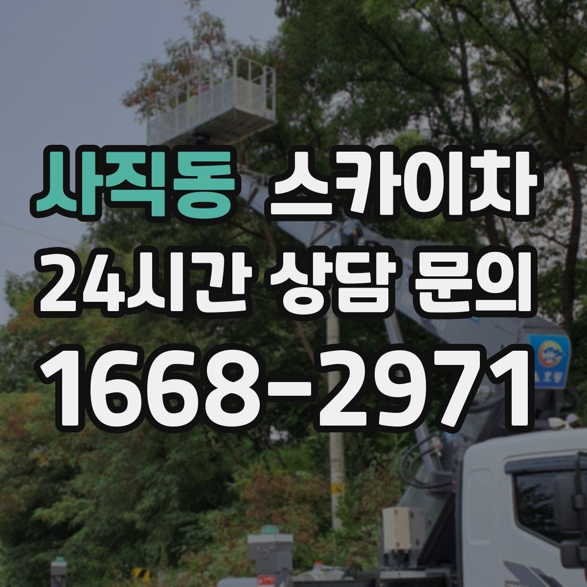 사직동 스카이차 어떤 작업에 가장 많이 쓰일까 활용 사례