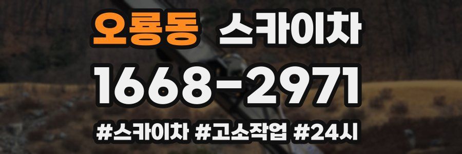 오룡동 스카이차