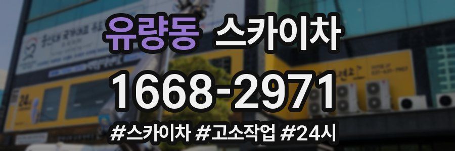 유량동 스카이차
