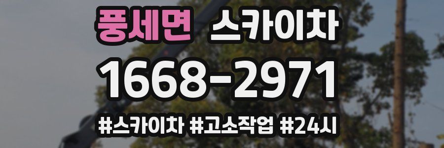 풍세면 스카이차