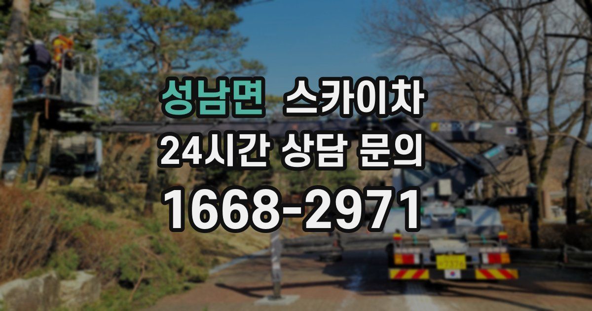 성남면 스카이차
