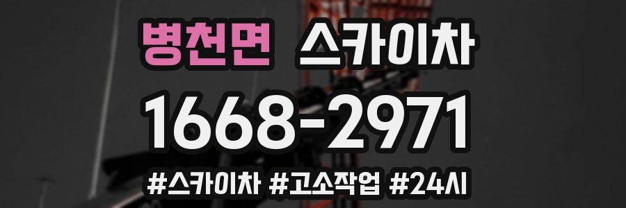 병천면 스카이차