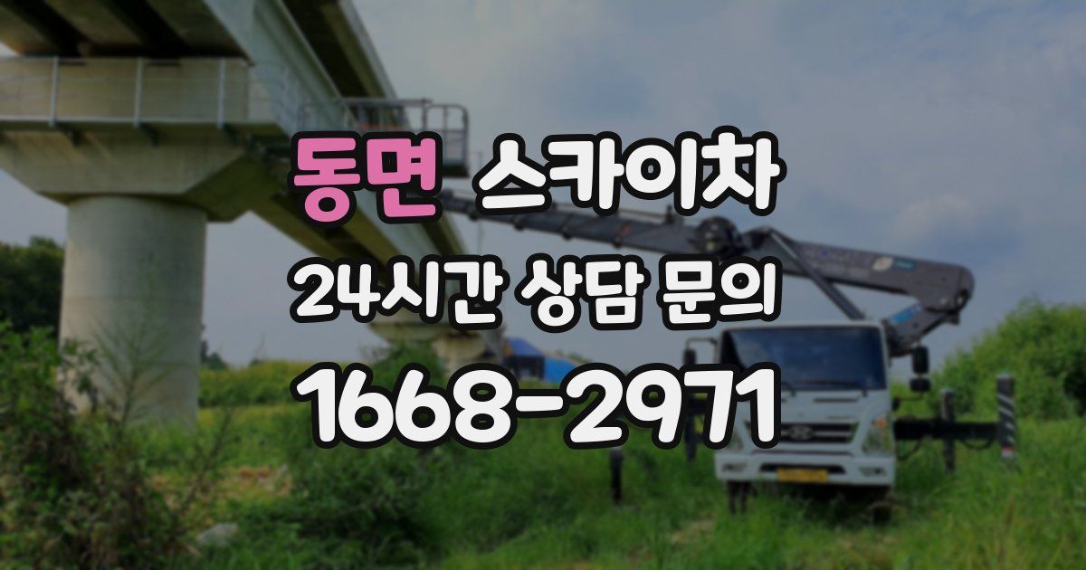 동면 스카이차