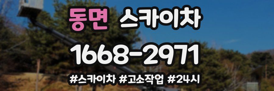 동면 스카이차