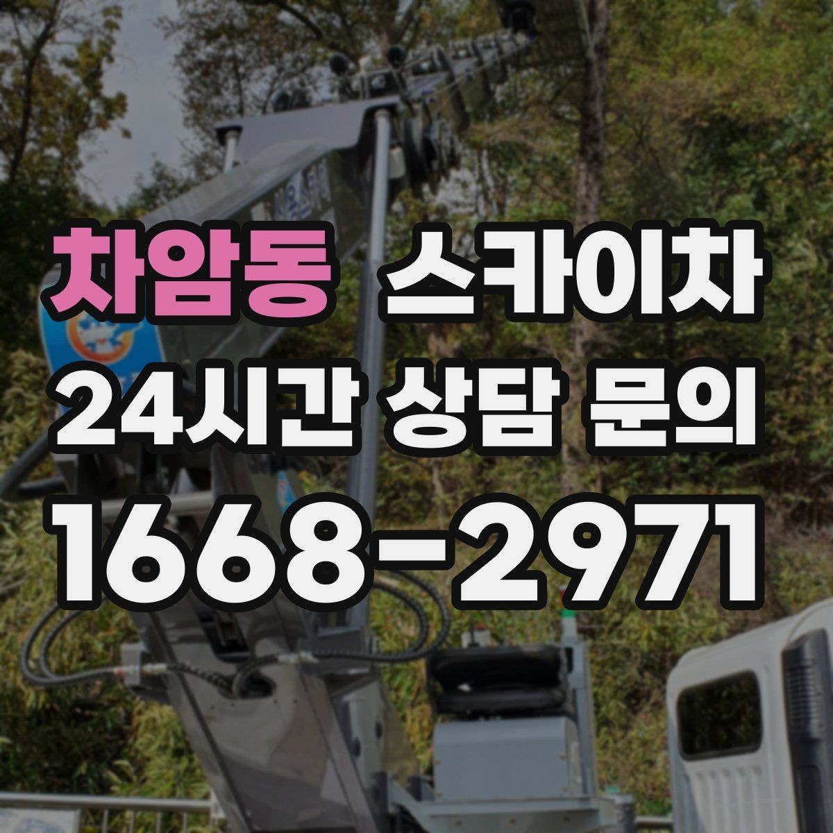 차암동 스카이차 카페 외벽 간판 교체로 분위기 개선