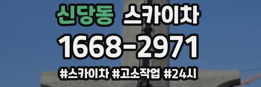 신당동 스카이차
