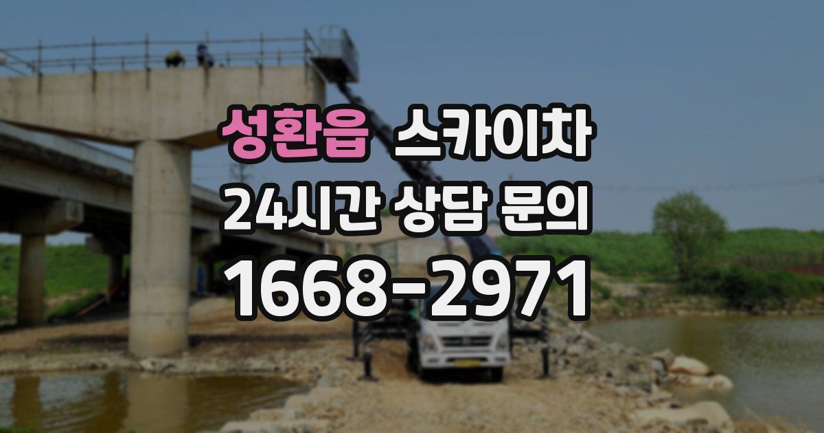 성환읍 스카이차