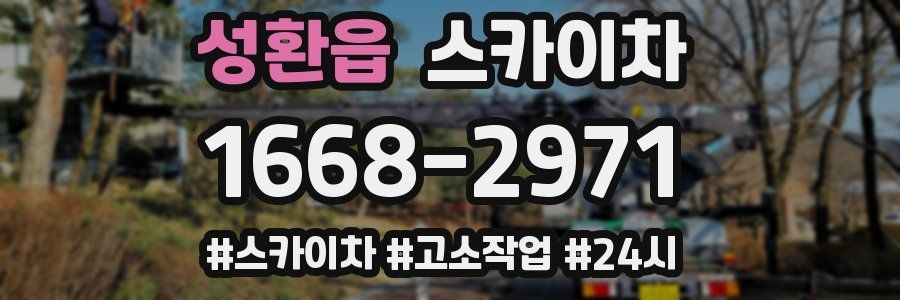 성환읍 스카이차