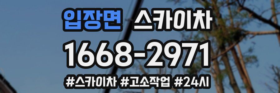 입장면 스카이차