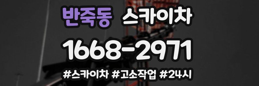 반죽동 스카이차