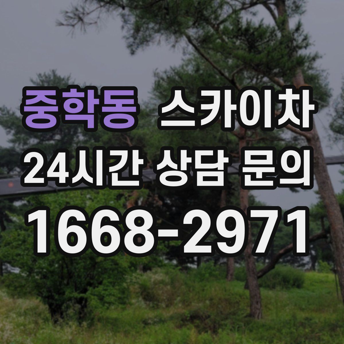 중학동 스카이차
