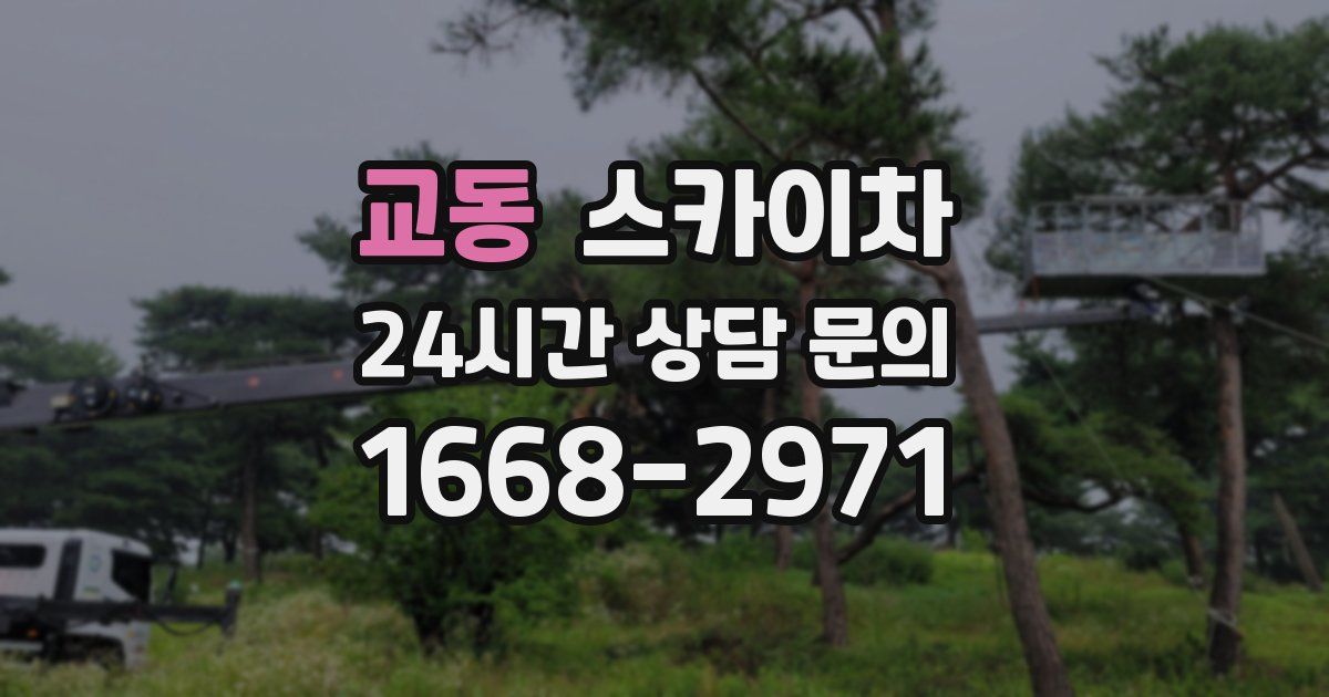 교동 스카이차