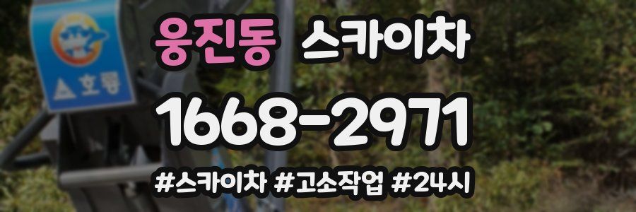 웅진동 스카이차