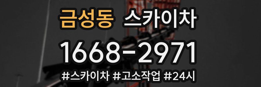 금성동 스카이차