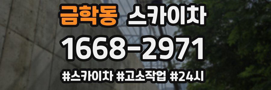 금학동 스카이차