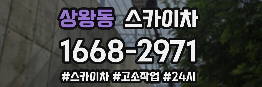 상왕동 스카이차