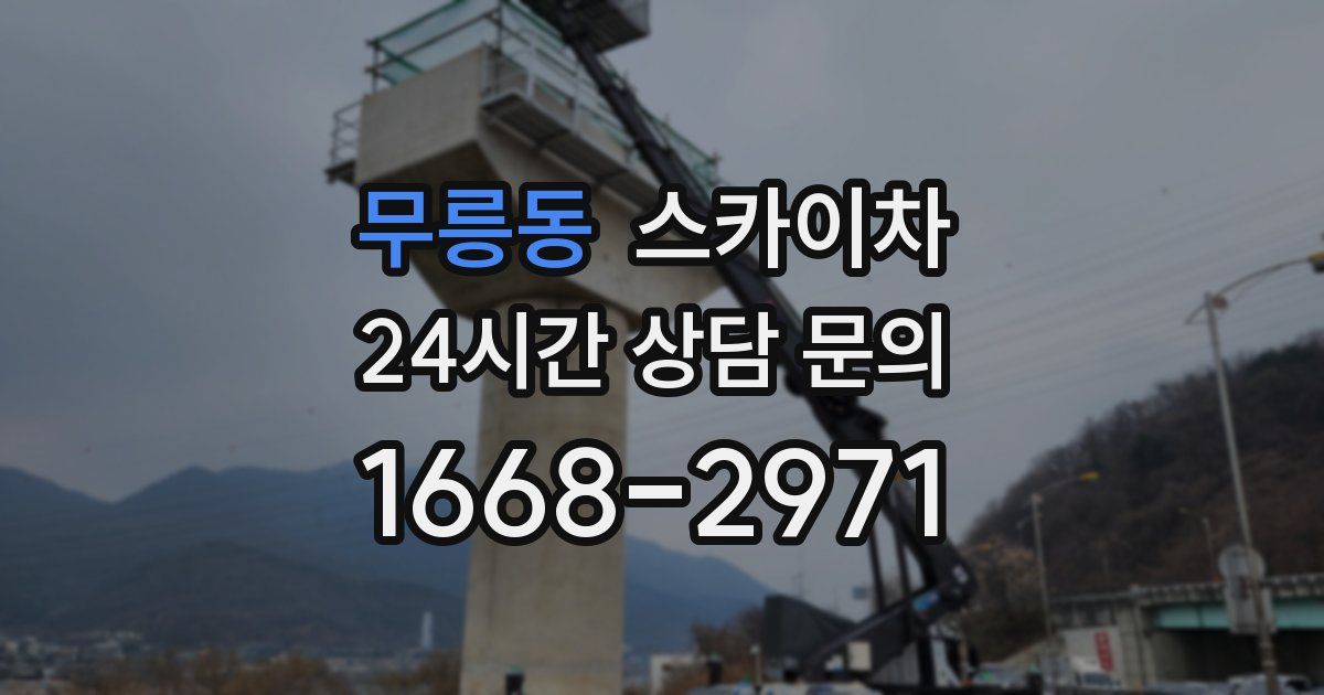 무릉동 스카이차