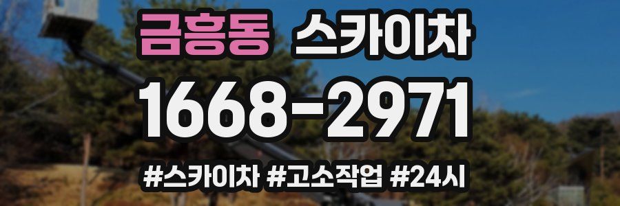 금흥동 스카이차