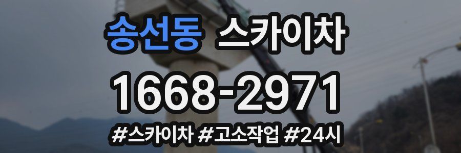 송선동 스카이차