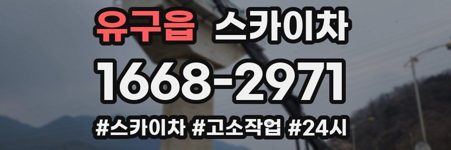 유구읍 스카이차