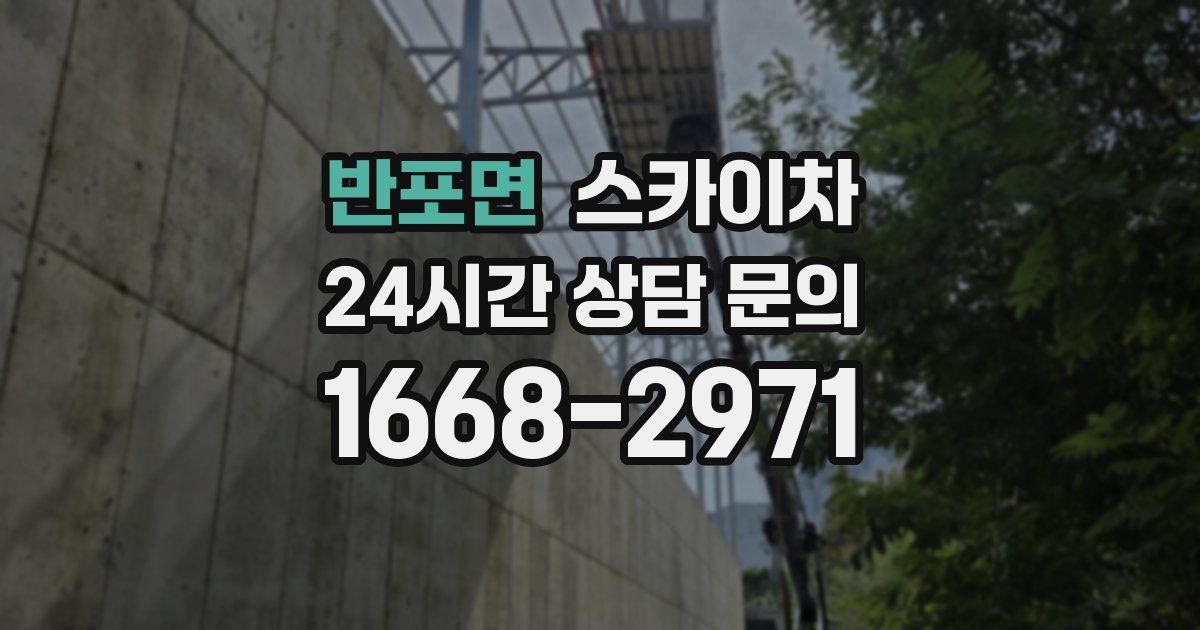 반포면 스카이차