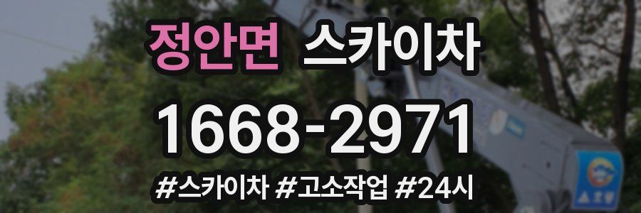 정안면 스카이차
