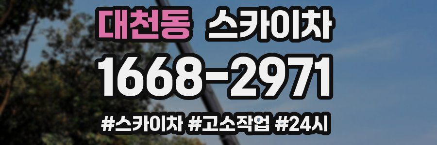 대천동 스카이차