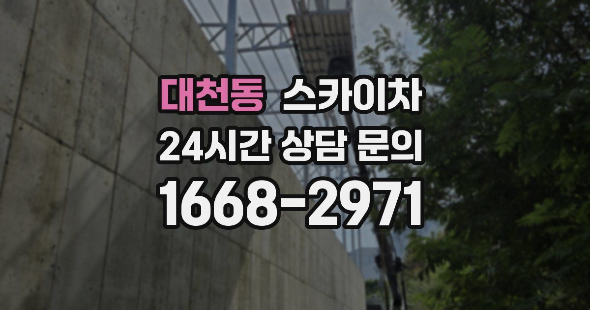 대천동 스카이차