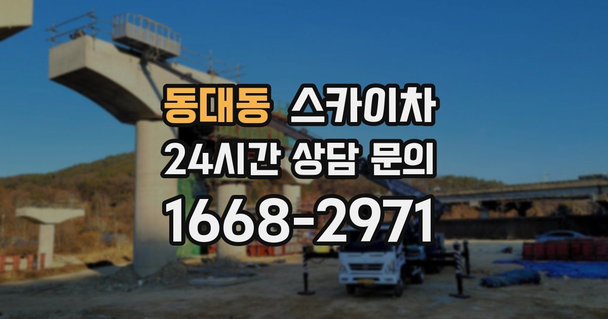 동대동 스카이차